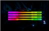 KLEVV CRAS V RGB 32GB (2x16GB) DDR5 6000MHz CL28 UDIMM
