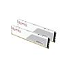 G.SKILL Flare X5 64GB (2x32GB) DDR5 6000MHz CL30 UDIMM