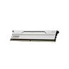 KLEVV BOLT V 32GB (2x16GB) DDR5 6000MHz CL28 UDIMM