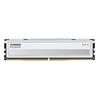 KLEVV FIT V 16GB (1x16GB) DDR5 5600MHz CL30 UDIMM