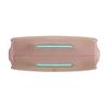 JBL Charge 6 Portable Speaker with removable strap, Pink