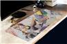 HYTE "Game On" Desk Pad - NACHOZ