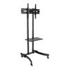 Tripp Lite Mobile TV Floor Stand Cart - Adjustable shelf  - DMCS3770L