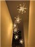 iCAN Indoor Starburst LED String Lights.