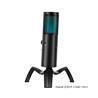 YANMAI Q18 RGB Perfect Sound Quality Studio Microphone