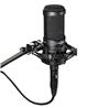 Audio-Technica (AT2020) - Microphone d'enregistrement