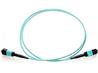 Câble fibre optique multimode Axiom MPO femelle vers MPO femelle OM4 50/125 - 7 m