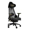 ASUS ROG 20th Edition Destrier Ergo Gaming Chair Black/Gold Mesh