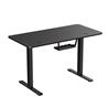 iCAN Electric Height Adjustable Desk
