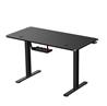 iCAN Electric Height Adjustable Desk
