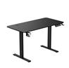 iCAN Electric Height Adjustable Desk