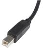 StarTech (USB2HAB6) - Câble USB 2.0 A mâle vers B mâle haute vitesse - 6 pi