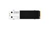 KLEVV G560 1 To NVMe PCIe Gen5x4 SSD