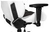 AKRacing (Arctica Series) - Chaise de jeu blanc/noir