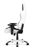 AKRacing (Arctica Series) - Chaise de jeu blanc/noir