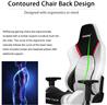 AKRacing (Arctica Series) - Chaise de jeu blanc/noir