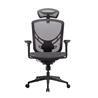 GTCHAIR I-VINO Ergonomic Office Chair, Back(Open Box)
