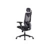 GTCHAIR inFlex Ergonomic Office Chair, Mesh, Black