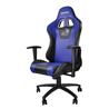DragonWar Ergonomic Racing Chair(Open Box)