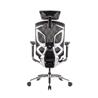 GTCHAIR Dvary Chromed Butterfly Office Chair(Open Box)