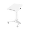 iCAN Height Adjustable Foldable and Portable Laptop Computer Desk Cart