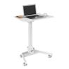 iCAN Height Adjustable Foldable and Portable Laptop Computer Desk Cart