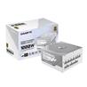 GIGABYTE Gaming 1000gm PG5 ICE 1000W 80 PLUS Gold ATX 12V Power Supply