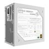 GIGABYTE Gaming 1000gm PG5 ICE 1000W 80 PLUS Gold ATX 12V Power Supply