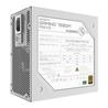 GIGABYTE GAMING 750GM PG5 ICE 750W 80 PLUS Gold ATX 12V Power Supply,