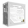 GIGABYTE Gaming 850gm PG5 ICE 850W 80 PLUS Gold ATX 12V Power Supply,
